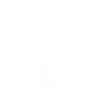 Obec Boršice