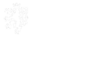 NSA